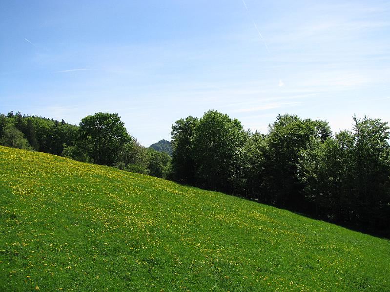 2009-05_Weissenstein 047.jpg